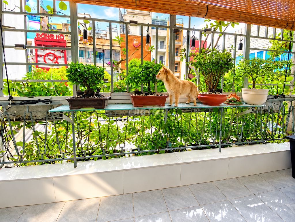 Nice corner - Đinh Tiên Hoàng apartment - 99 M2 - only 16 million a month