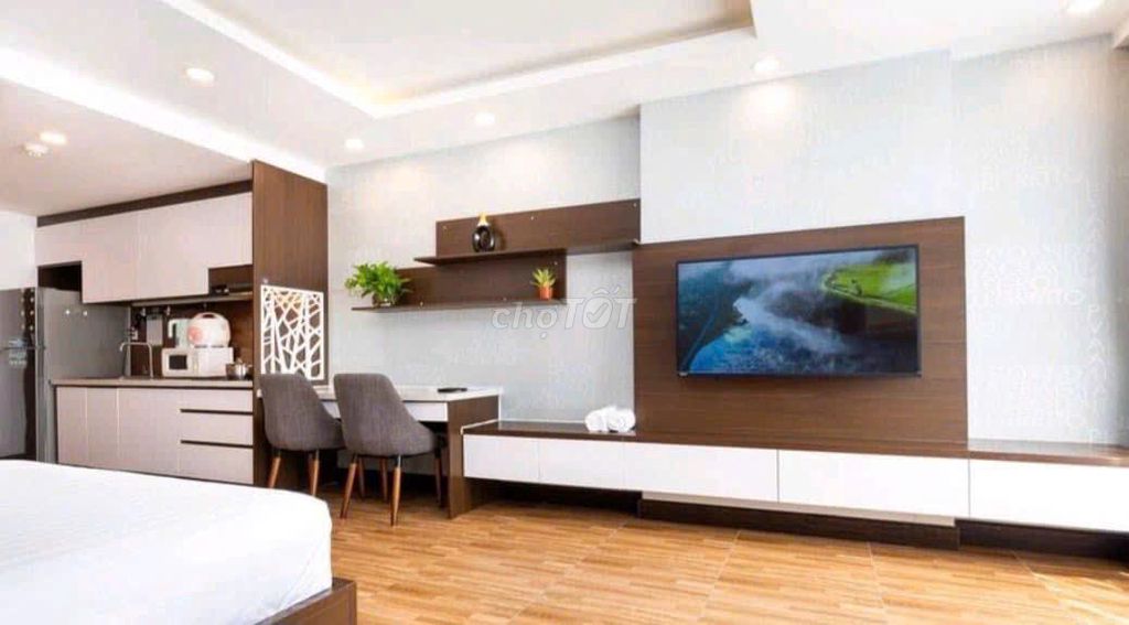 Botanica Premier 10.5 million full furniture 36 m2 Novaland airport