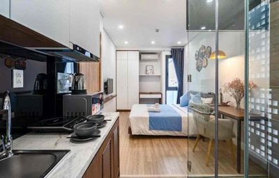 The studio apartment_The Full-Adventure House right in District 1 (Real value)