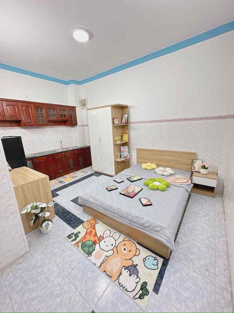 Rent rooms right at the Main Hall, near the University of Medicine, University of Economics ueh
