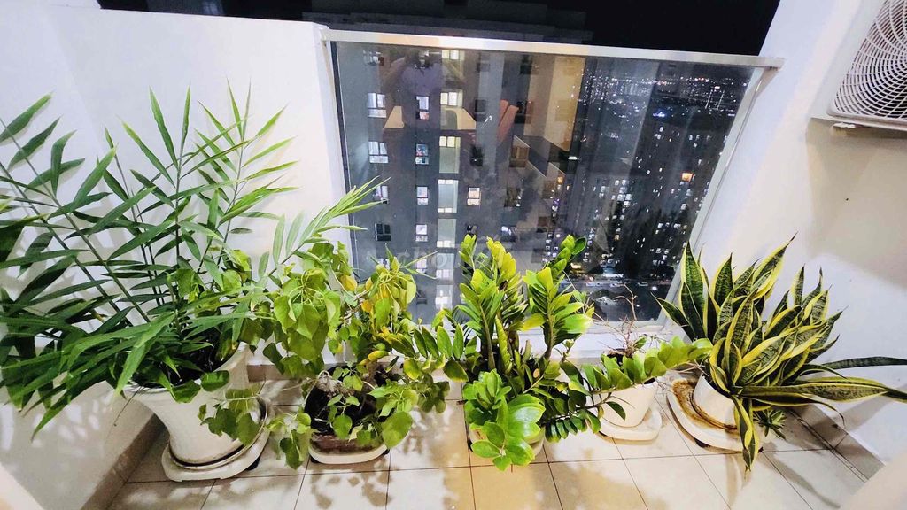 Rent the Võ Văn Kiệt Avenue apartment right now.