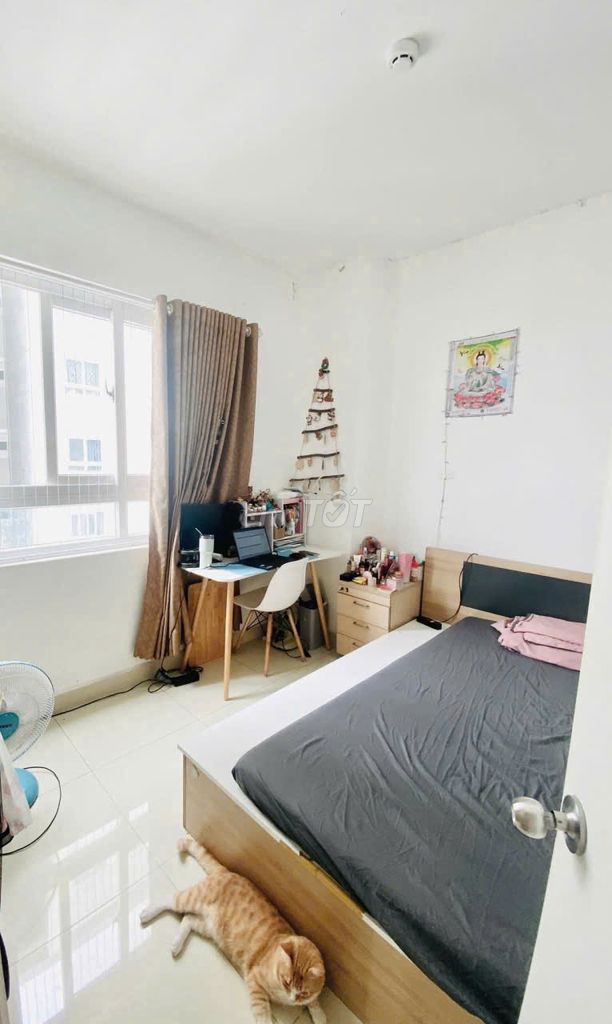 Ruby building, Nguyễn Sỹ Sách, tb: 2 p sleep, full interior, 90 meters 2 and 9 million