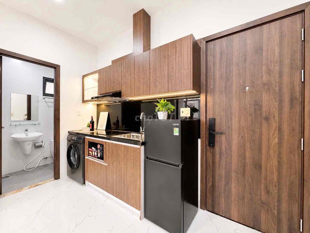 Mini apartment, kitchen bedroom, balcony, full interior.