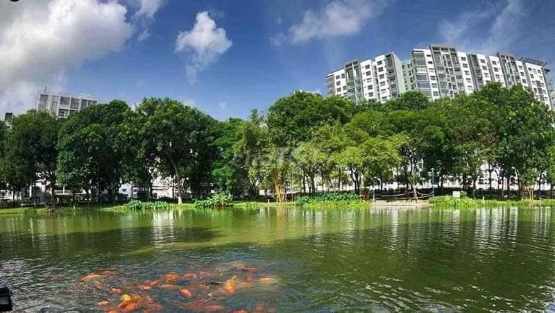 - Just 18 million a month renting two bedrooms.