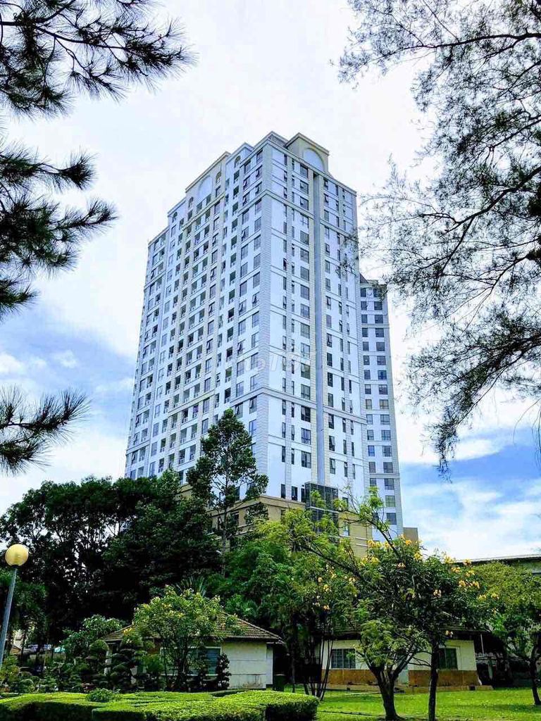 Rent Shophouse 38 meters. Garden Gate apartment. cvctrem