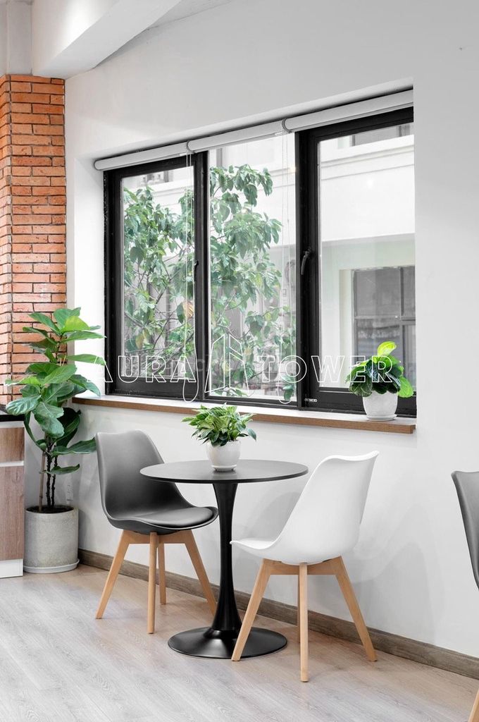 Rent Trần Văn Danh – 12 X25 M - 3th floor - garden yard