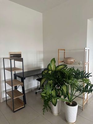 Two bedrooms, two bedrooms, six million and a half, nice and empty.