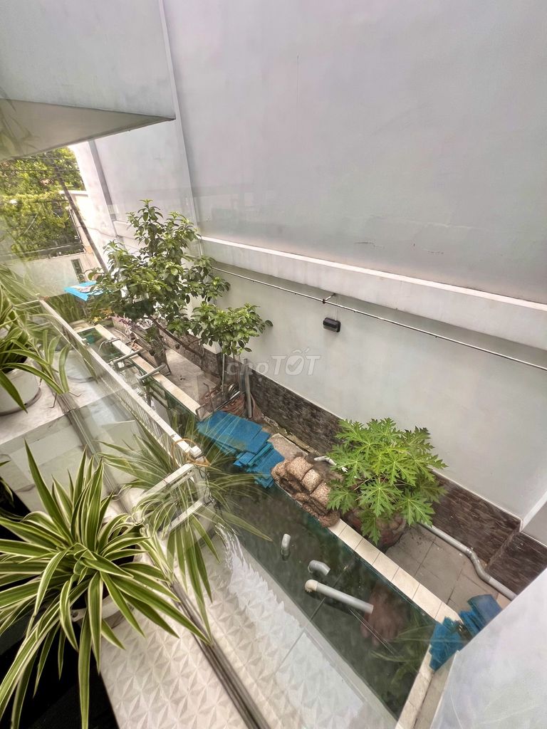 Rent 14 x 25 Hoàng Ngọc Phách, P.C.C., Tân Phú