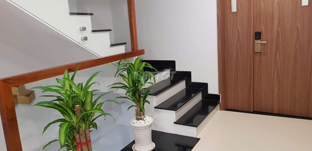 Rent a cash street Tạ Quang Bửu – The Pegasuite