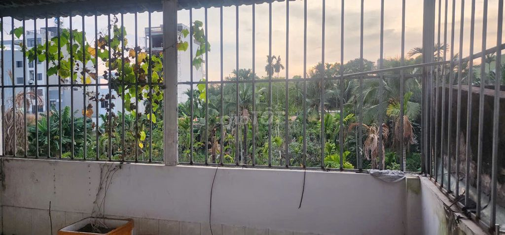 Rent the original building 354/69 Vườn Lài, District 12.