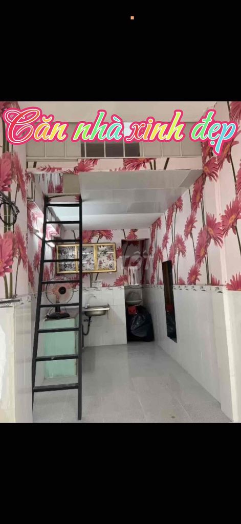 Beautiful place for hire, sweet place for hire; Tang Street, church of wisdom; near the market of the palace.