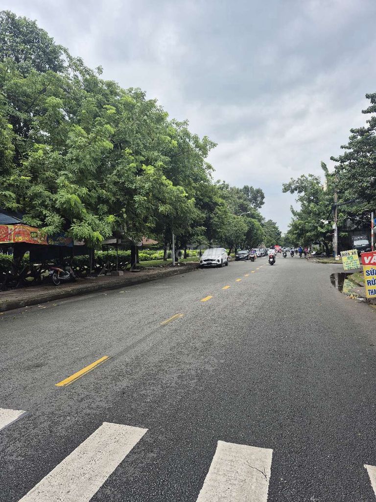 Rent 5 x23 m m local road 15 meters right at Tây Thạnh
