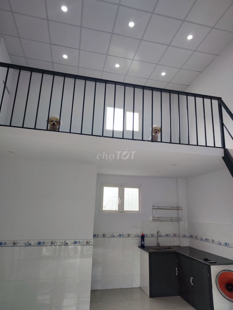 Special Homes to Placed