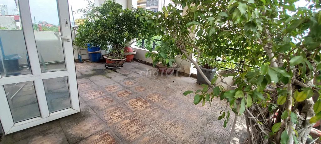 Thảo Điền root house has a broad, suitable courtyard or office office.