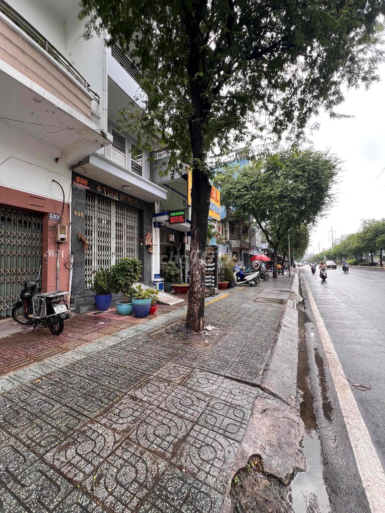 The square root of a Hồng Bàng - area: 4 x 31 m