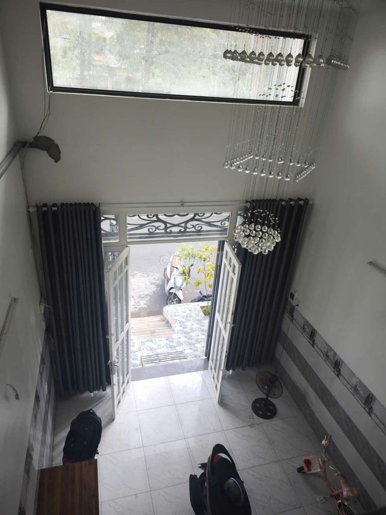 Five rooms right here in the pet park.