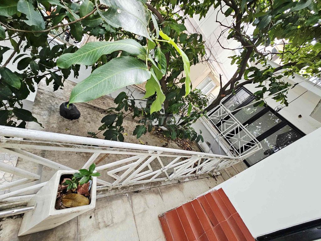 It's the owner of the 12 x 15 M villa, Nguyễn Văn Trỗi, Tân Bình