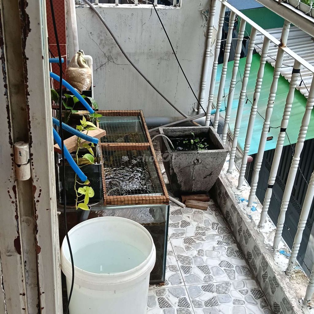 Let's rent out the entire first floor.