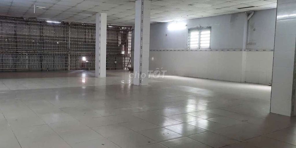 Rent cash rent 270 m-Phạm Thế Hiển, 8-8 x16 meters rare