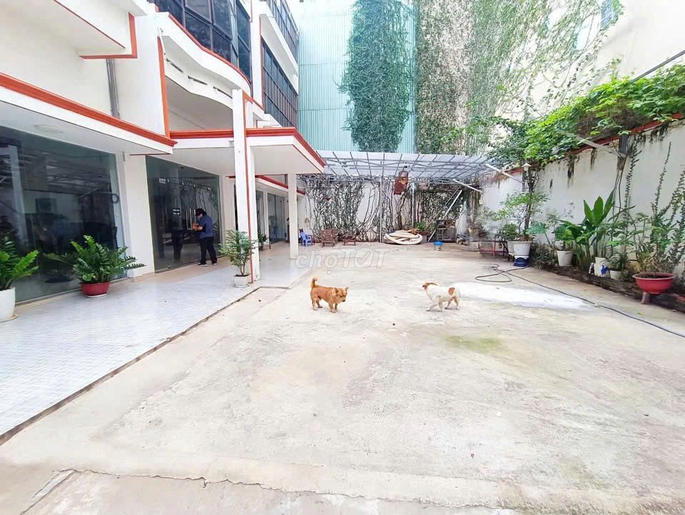 rent 2/ Tản Viên Tân Bình_Calve: 20 meters, 2 floors wide.