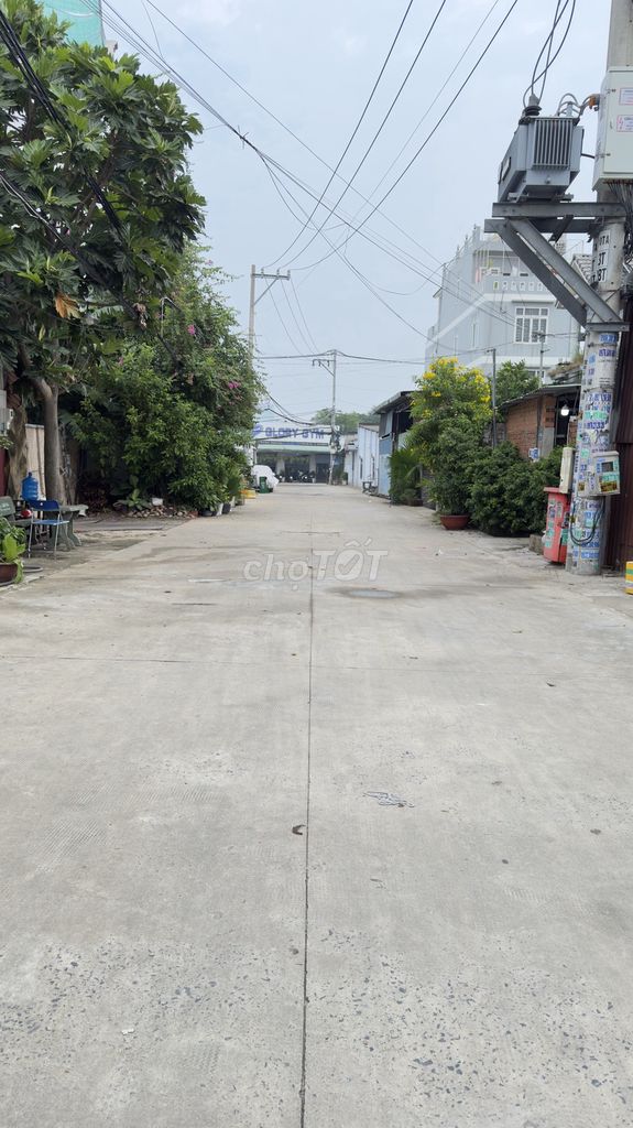 Đồng Tâm, Tân Xuân, Hóc Môn.