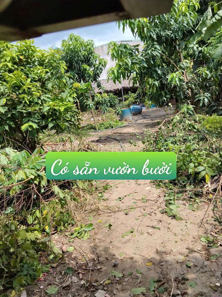 The 12th Gardens. The House of Sun is available on Vĩnh Lộc B Center Channel.