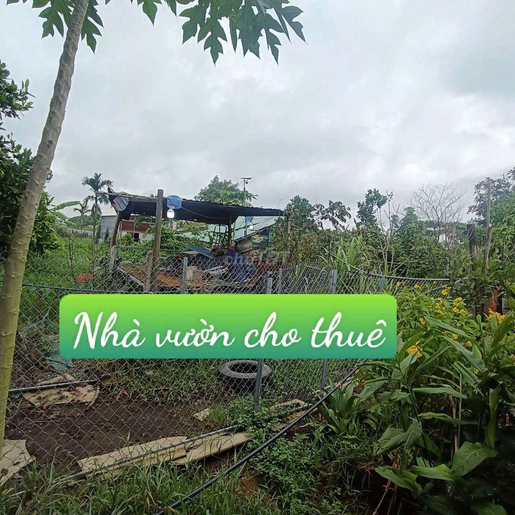 The 12th Gardens. The House of Sun is available on Vĩnh Lộc B Center Channel.