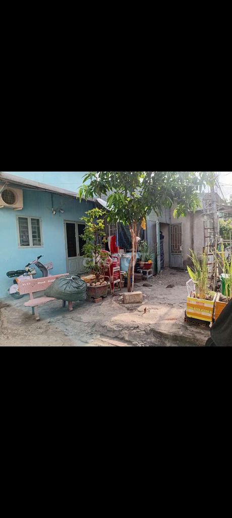 To rent the original house, Oozma Bà Điểm, squirrel.