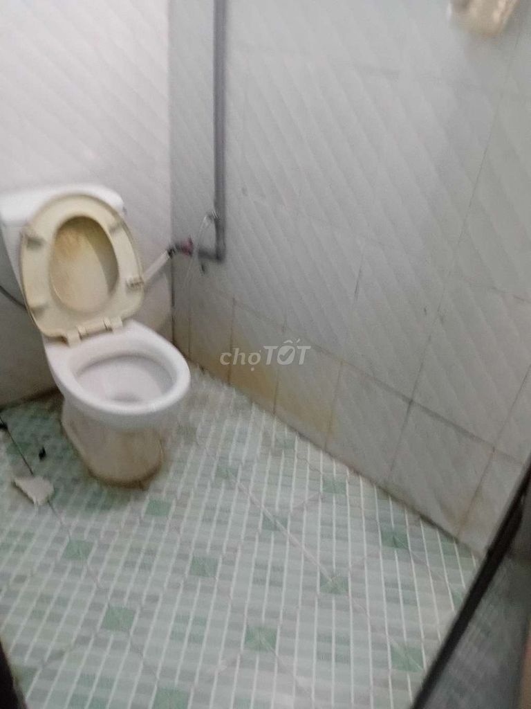 To rent the original house, Oozma Bà Điểm, squirrel.