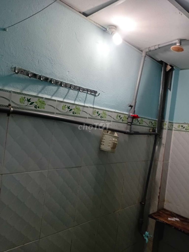 To rent the original house, Oozma Bà Điểm, squirrel.