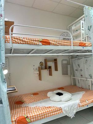 Ung Văn Khiêm dorm, green row fall, Bình Thạnh (400 k/t)