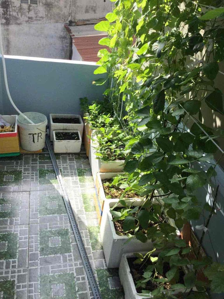 The new clean house is 80 meters per floor, 2 p sleep-right Hẻm 551 Lê Văn Khương
