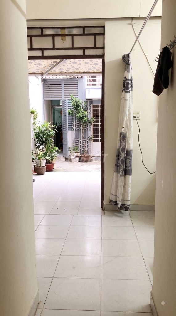 root root of 20 M2 Âu Cơ with background [home]