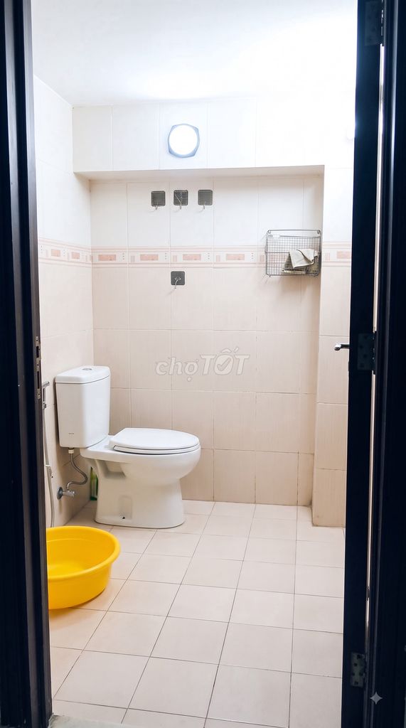 root root of 20 M2 Âu Cơ with background [home]