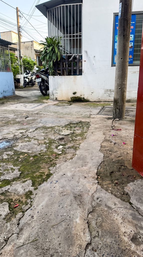 root root of 20 M2 Âu Cơ with background [home]