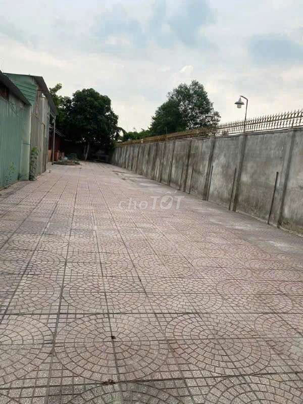 Rent at 1200 M2 for 10 triue