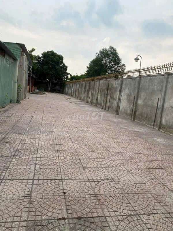 Rent at 1200 M2 for 10 triue
