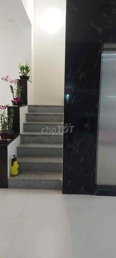 The 1st floor is 8 x 20 meters, including 4 suites.