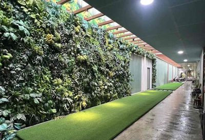 Rents for the Full House Gardens 8 x 20 mm dtc Hoàng Quốc Việt