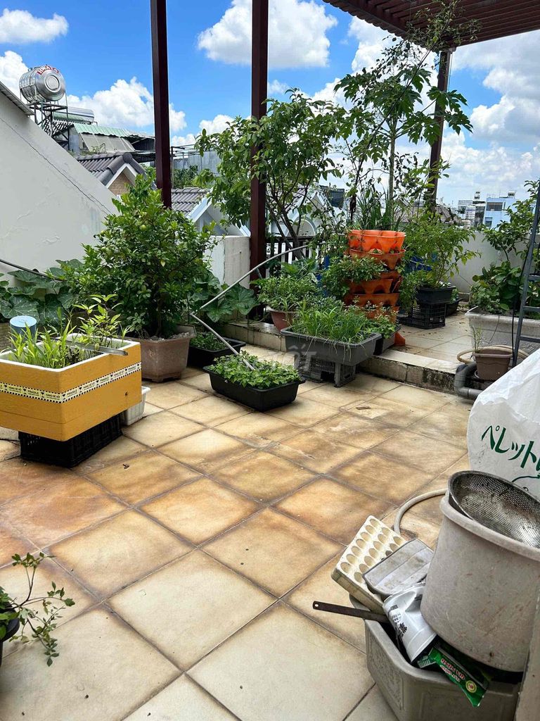Rent Bình Thành, Bình Hưng Hoà B