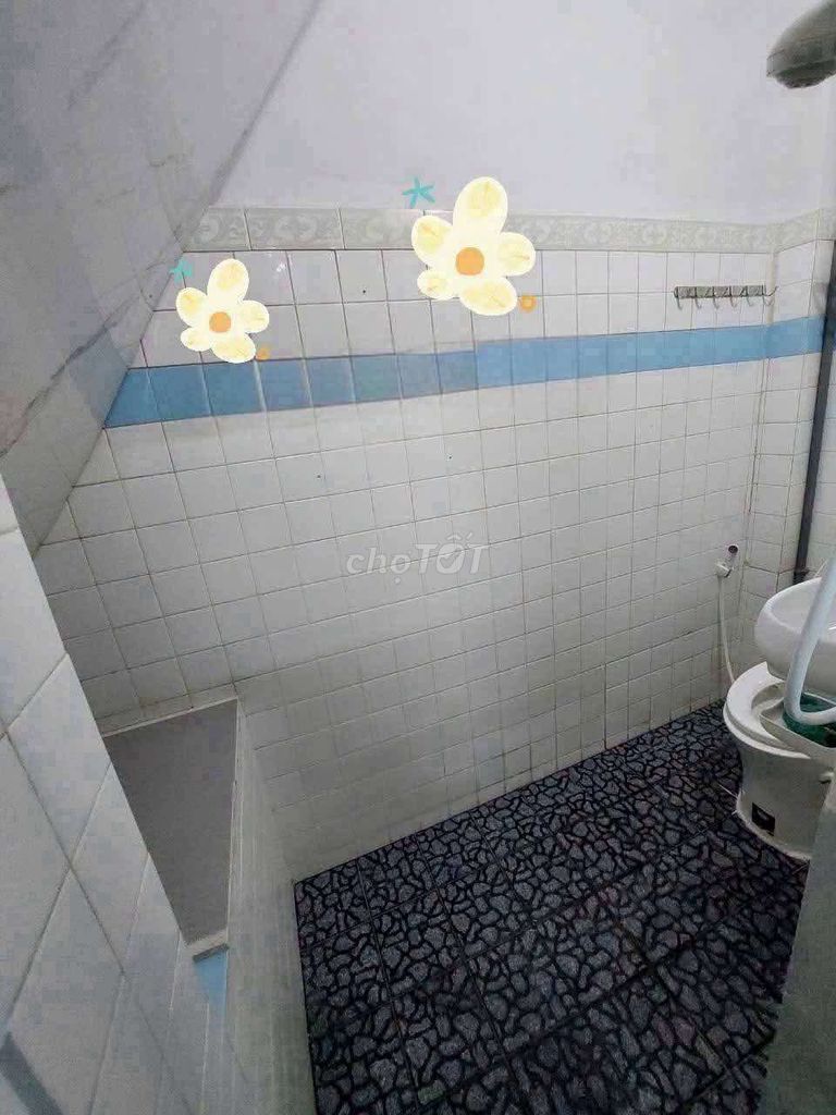 Renting an alley house, Phú Thọ District 11