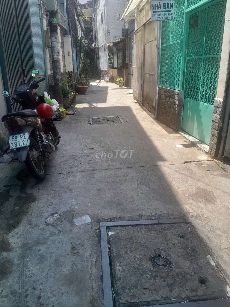 Rent Hòa Bình District 11 Sen's 35mm 2 feet long 10 meters long