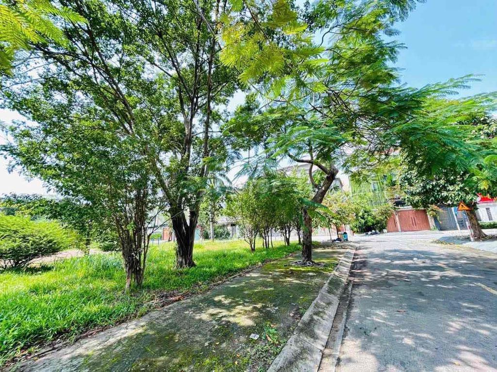 Mrs. Hom 6 x 20 meters 5 across from the entire park 35 million