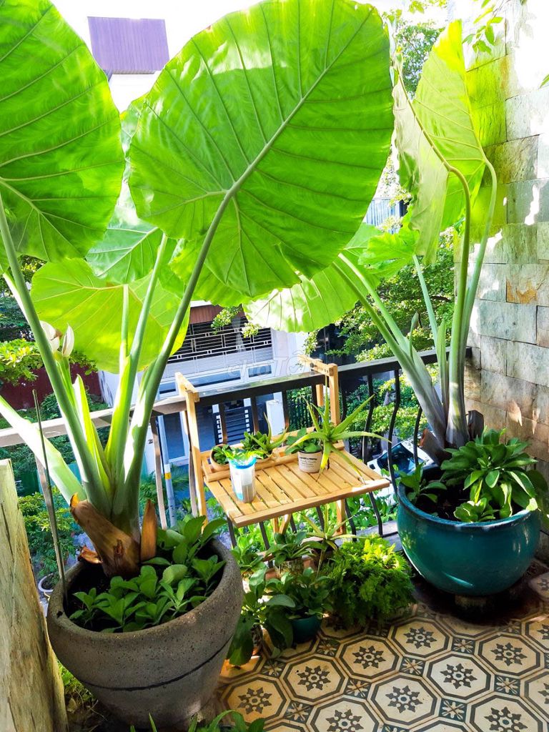 Renting Phú Mỹ, Hoàng Quốc Việt, District 7, 40 million, 4 bedrooms.