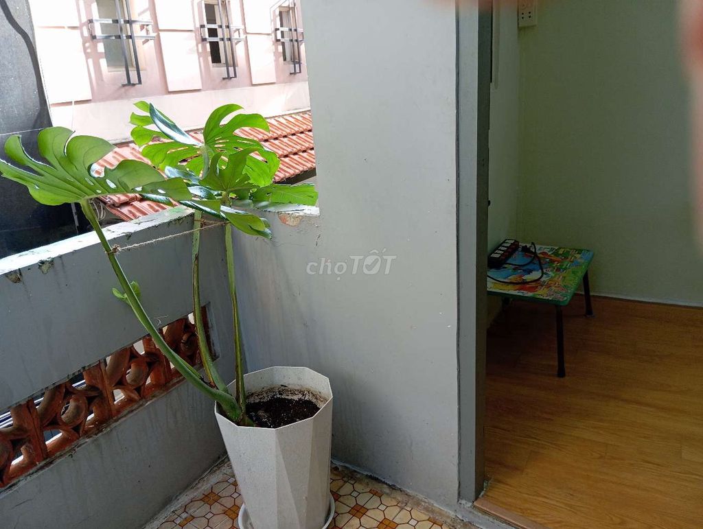 A beautiful little house, isolated - private, free time.
