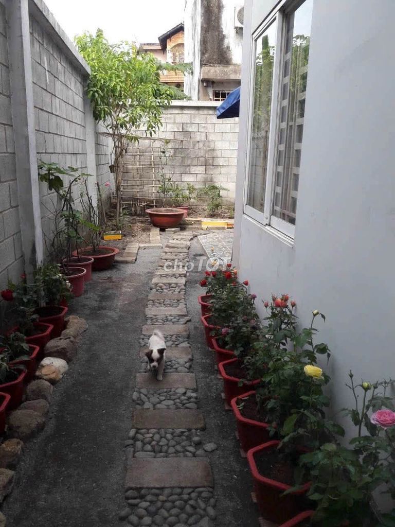 Rent the Thạnh Lộc 15, District 12, 8 x 30 meters, 5 bedrooms