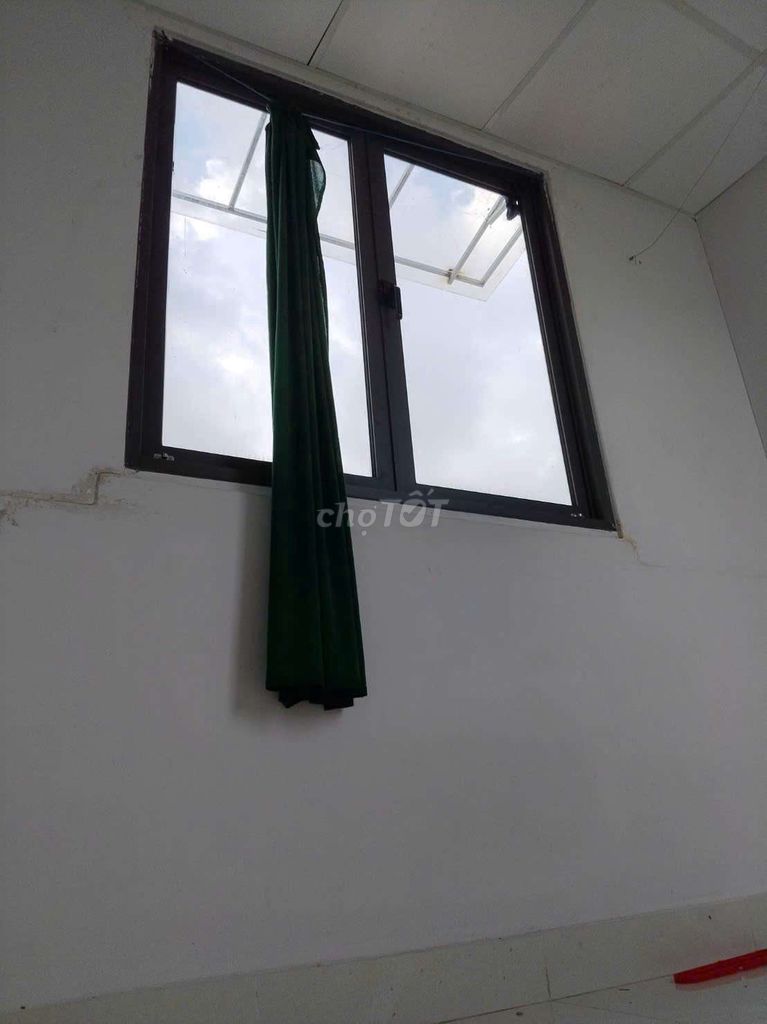 To rent little nimi. Central. District 6