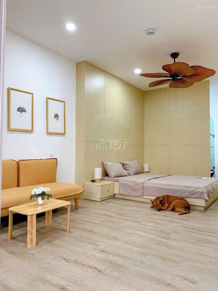 Rent 351 77 B Lê Văn Sỹ, District 3 – 5 story, elevator, 7 P, 80 million