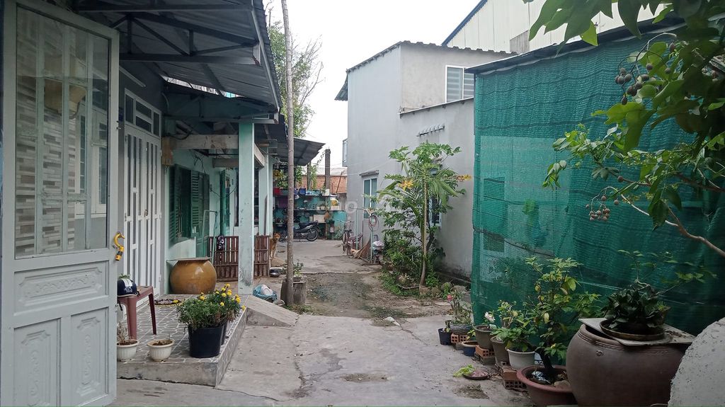 To rent 4-level housing, low-cost basics.