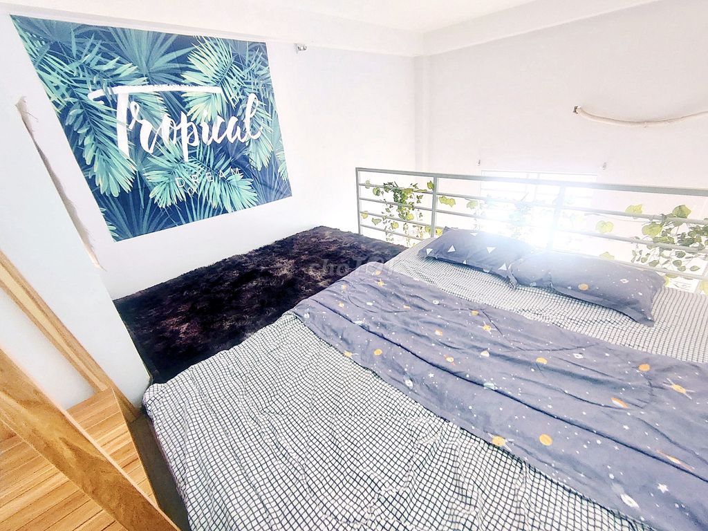 The Room of Convenient (Dubex) Full New Hard - C_Cv village